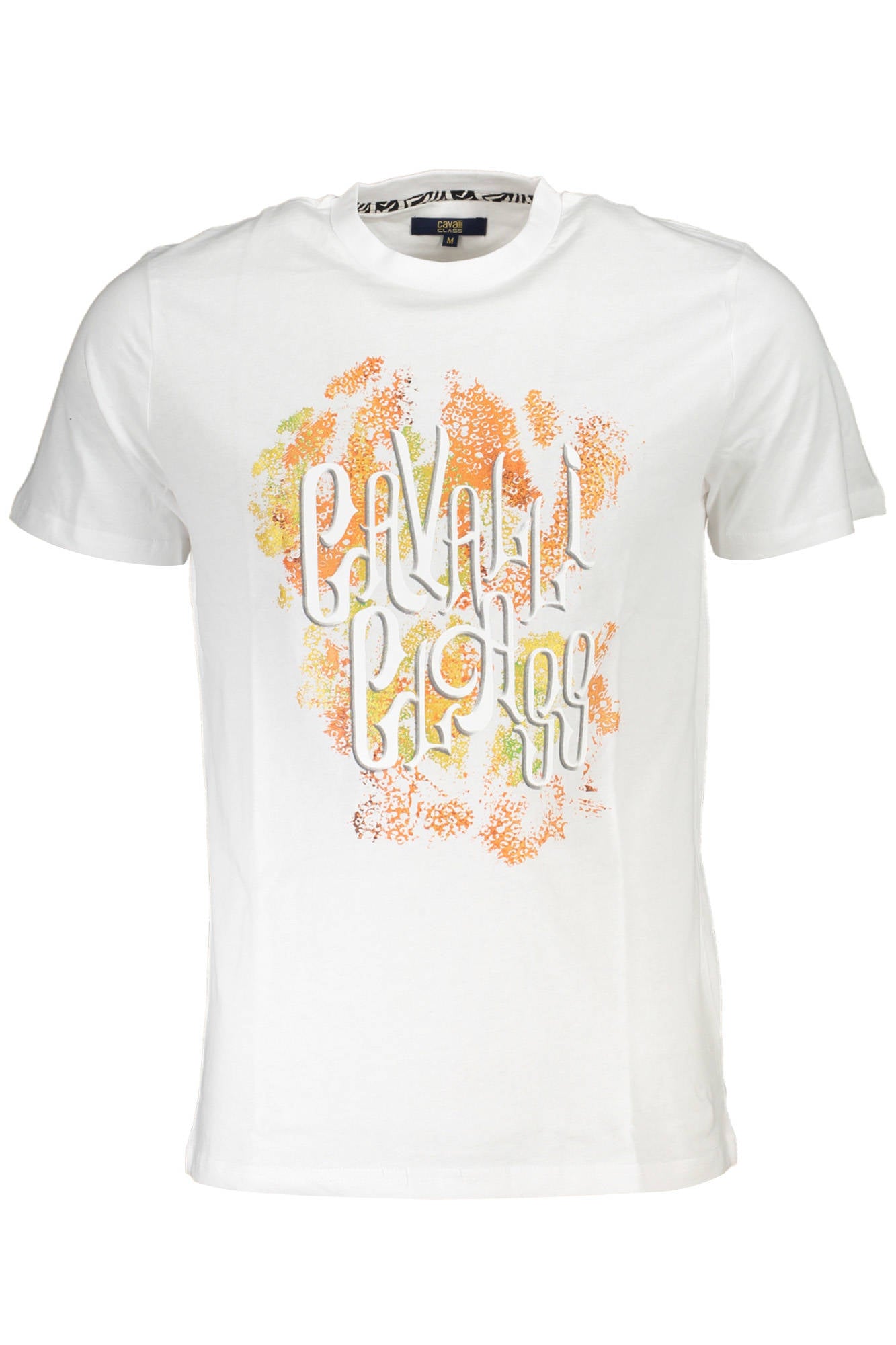 CAVALLI CLASS T-SHIRT MANICHE CORTE UOMO GRIGIO-2