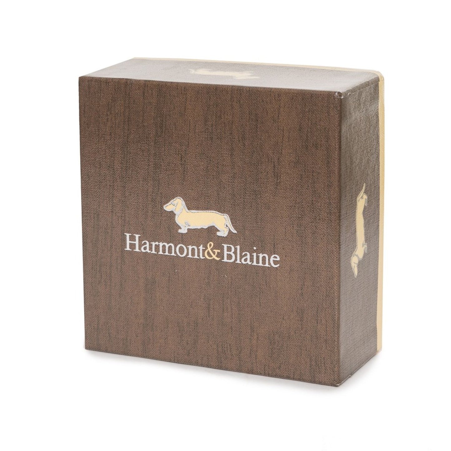 Harmont&Blaine Cinture